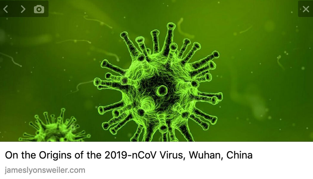 On the Origins of the 2019-nCoV Virus, Wuhan, China